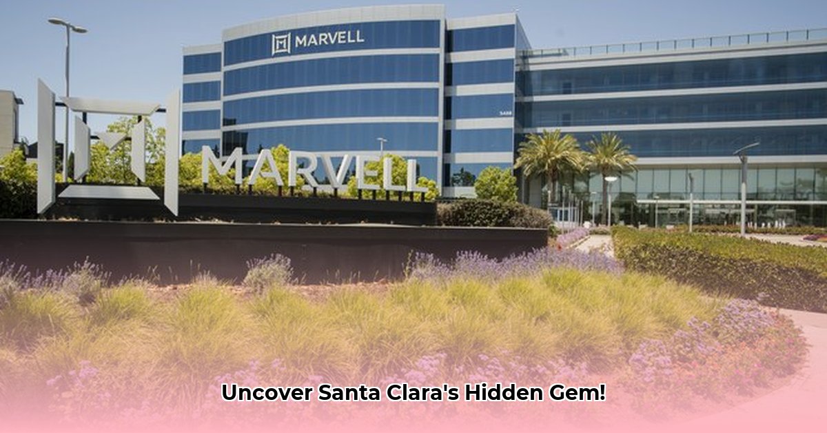5488-marvell-ln-santa-clara-ca